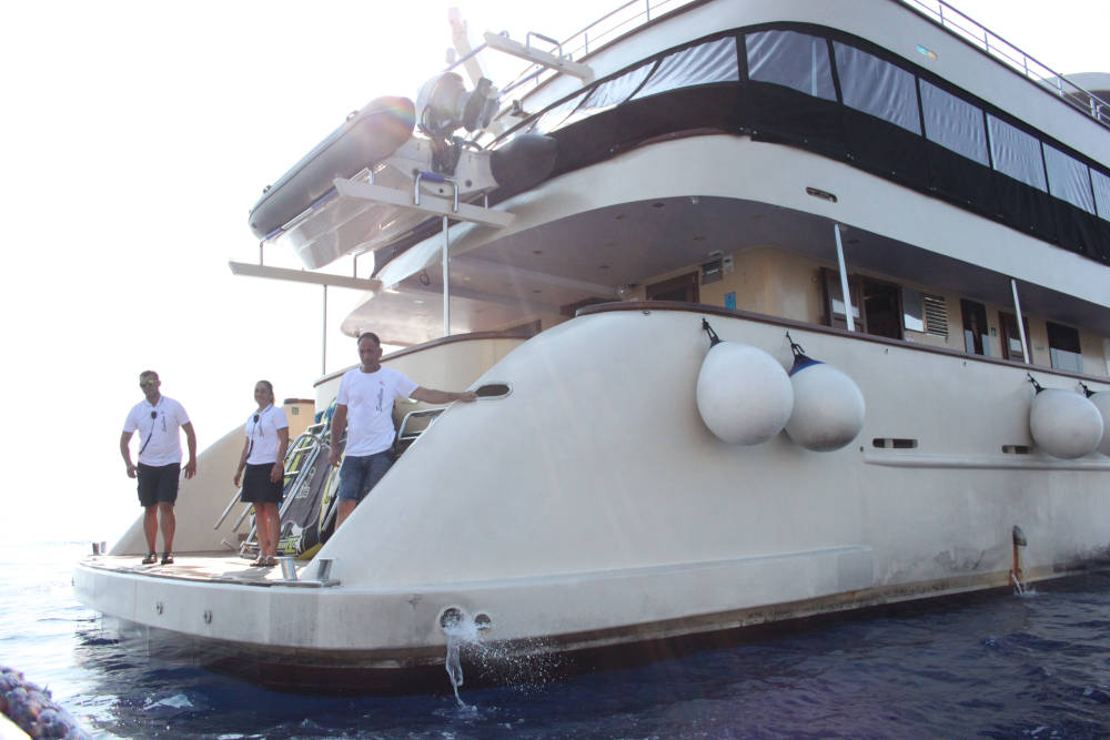 Cruising on Lastavica and Swallow top Tips