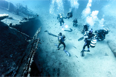 island-vis-lastavica-2