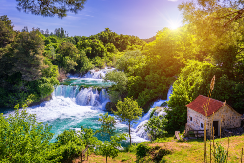 lastavica-swallow-national-park-krka-life