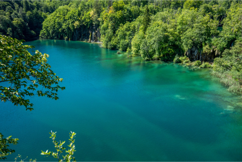 lastavica-swallow-national-park-plitvice-lakes