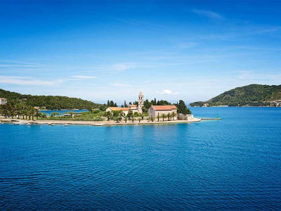 Vis