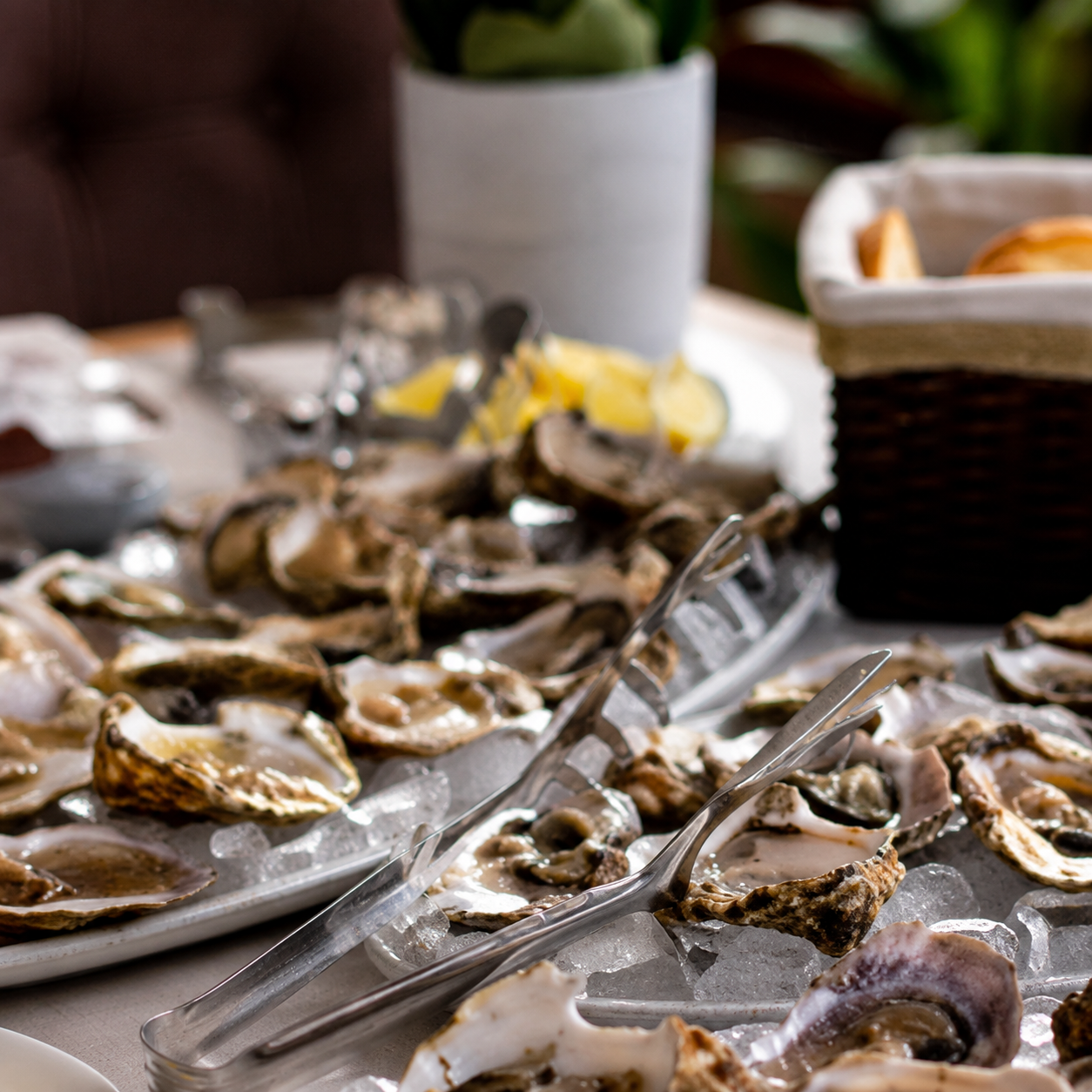 Dining aboard Lastavica Cruising