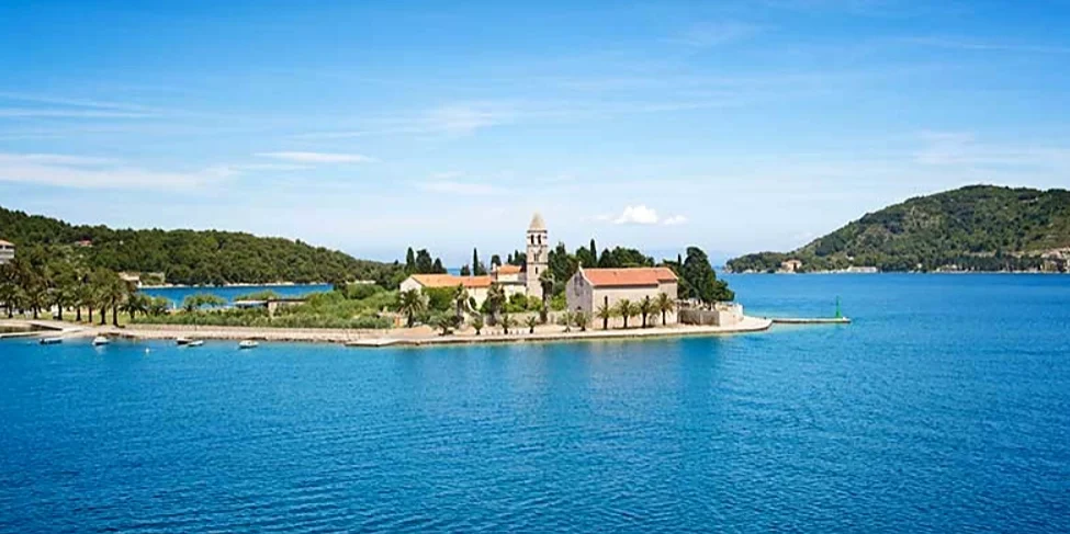 vis